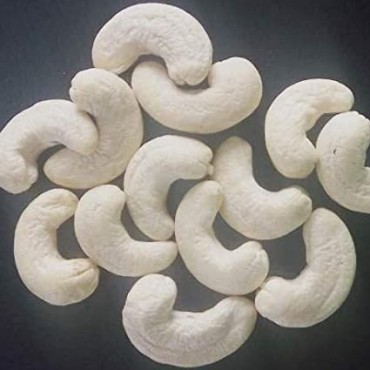Cashew W180 (Goa) - 1000 gms Cashew W180 (Goa) - 1000 gms