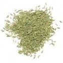 Fennel Oil (Foeniculum Vulgare) - 5 ml