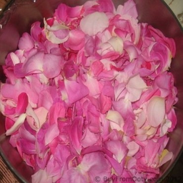 Rose Water 500 ml
