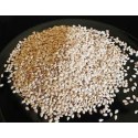 Sesame Seed Oil (Sesamum Indicum) - 100 ml