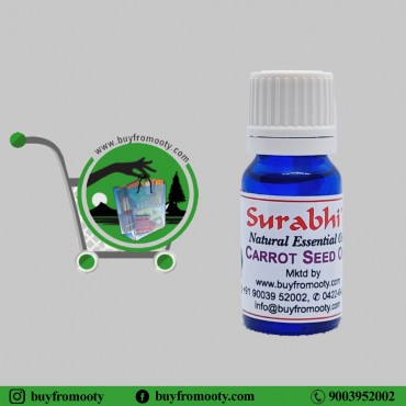 Carrot Seed Oil (Daucus Carota) - 5 ml
