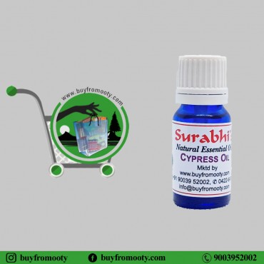 Cypress Oil (Cupressus Sampervirens) - 10 ml