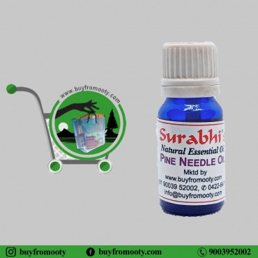 Pine Needle Oil (Pinus Sylvestris) - 10 ml
