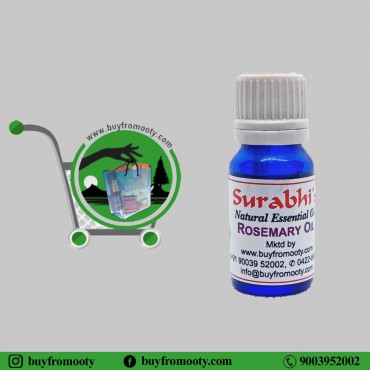 Rosemary Oil (Rosmarinus Officinalis) - 10 ml