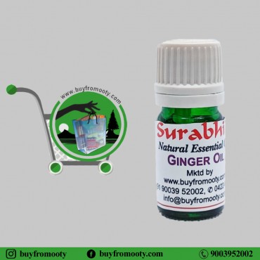 Ginger Oil (Zingiber Officinale) - 5 ml