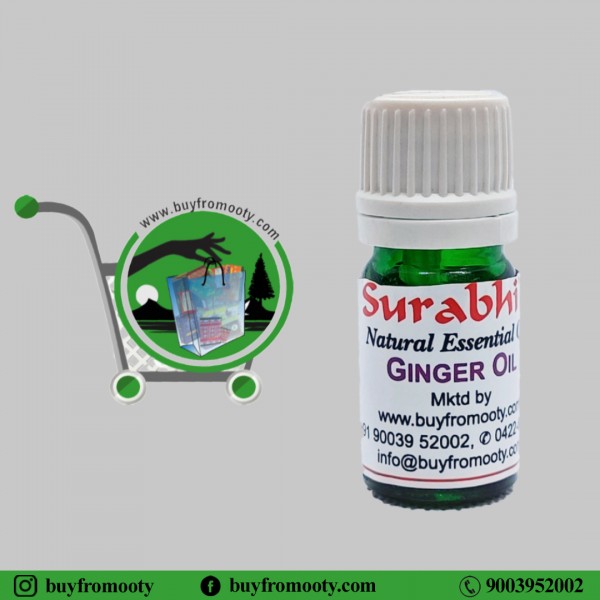 Ginger Oil (Zingiber Officinale) - 5 ml
